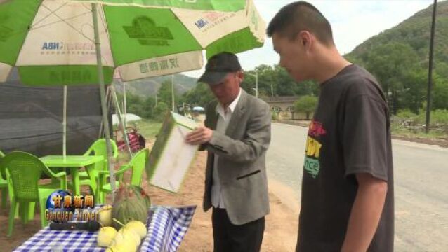 甜蜜来袭!程家纸坊村头茬甜瓜上市啦