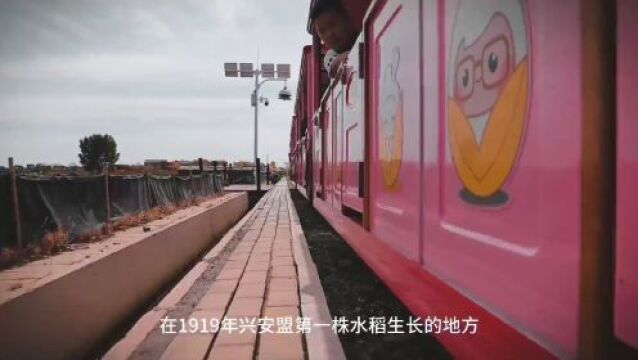 【网络达人看兴安】来一场稻谷之旅