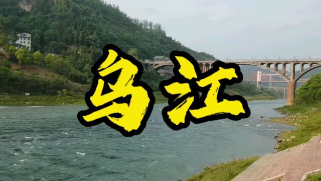 到乌江,吃传说中的乌江豆腐鱼