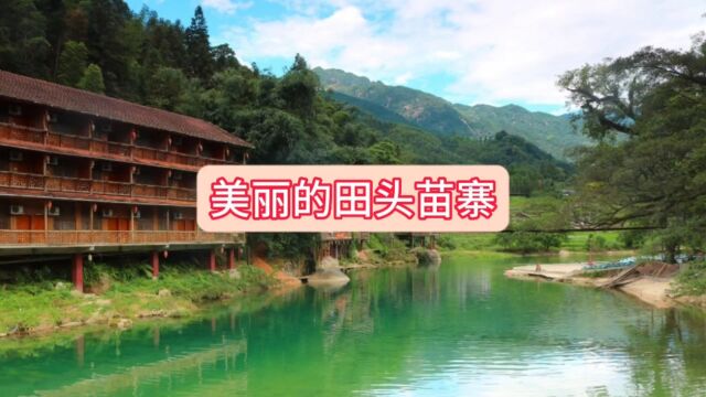 美丽的田头苗寨 柳州旅游 柳州美景