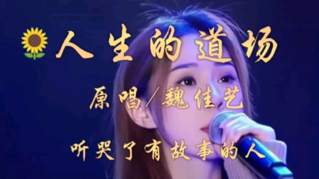 经典歌曲/魏佳艺《人生的道场》