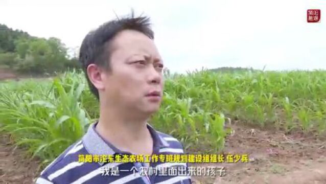 伍少兵:在平凡岗位上散发光和热的农业人