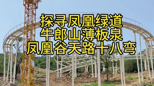 为提升凤凰绿道整体工程,绿道指挥部邀请浙江设计院,济南设计院,及省级书画界代表张主席