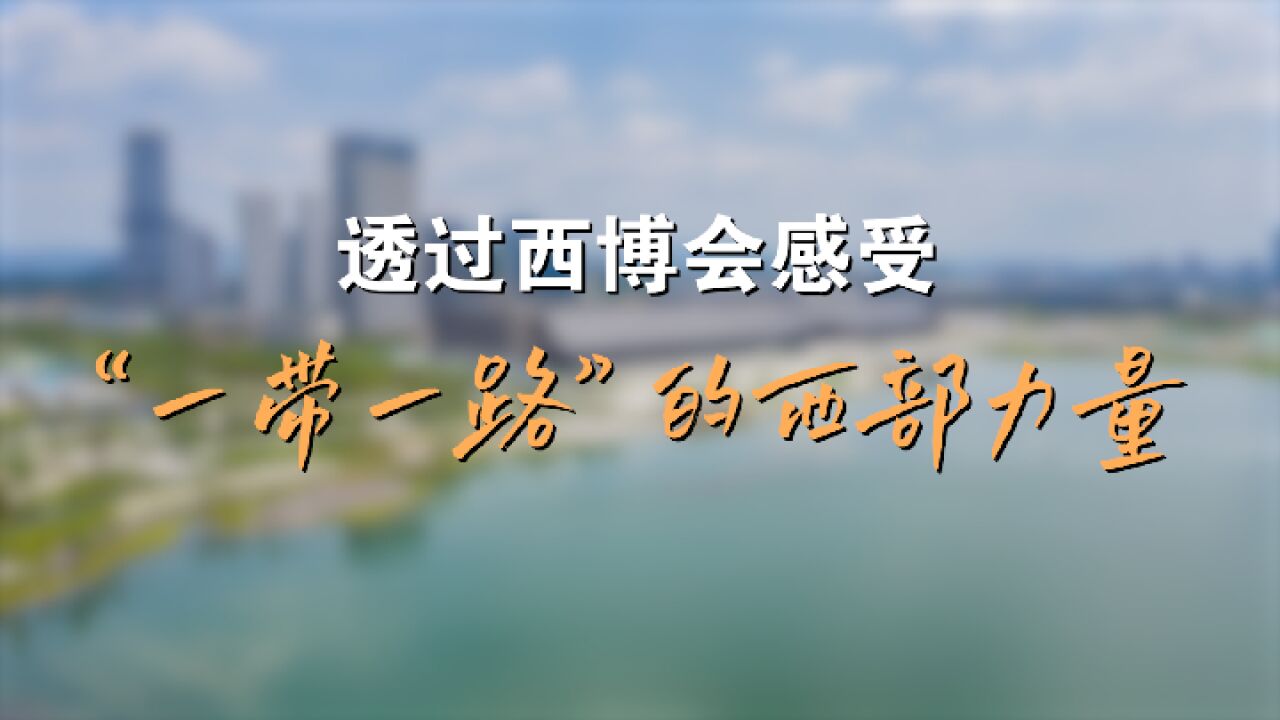 全球连线|透过西博会感受“一带一路”的西部力量