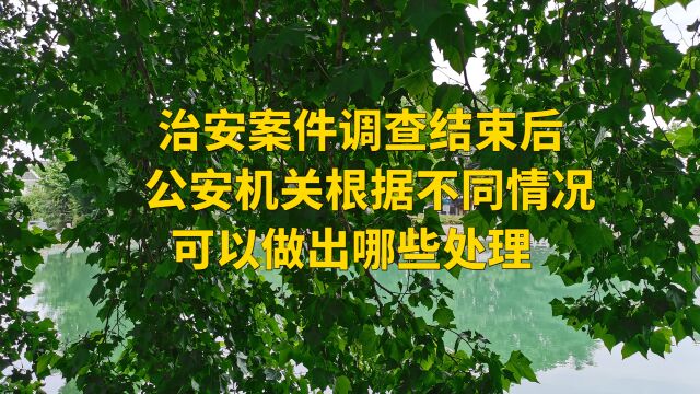 治安案件调查结束后,公安机关根据不同情况,可以做出哪些处理