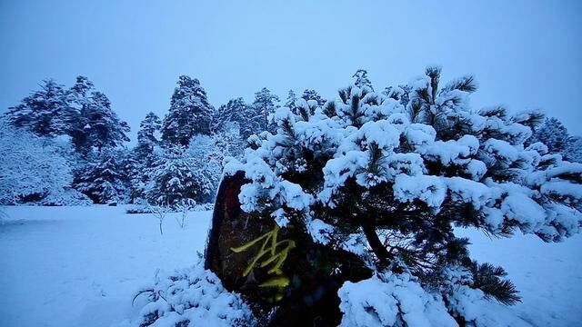 冬季请到长白山来看雪 #雪一落这里就美成了诗 #来一场长白山冰雪之约