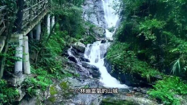 气候康养示范基地第五站——永州市金洞管理区