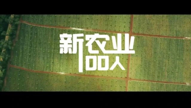 新农业100人|虞挥:一座浙江小城,一位年轻人守护三代“缙云麻鸭”梦