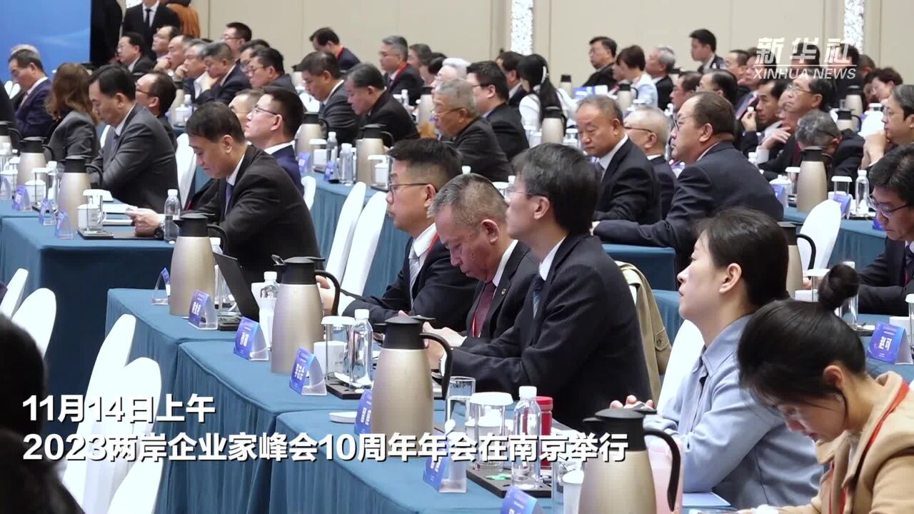 2023两岸企业家峰会10周年年会在南京举行