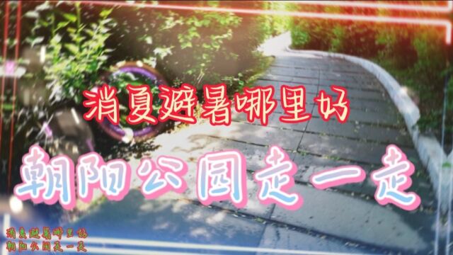 消夏避暑哪里好 朝阳公园走一走