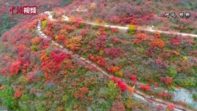 秋意正浓 多地缤纷秋色惹人醉