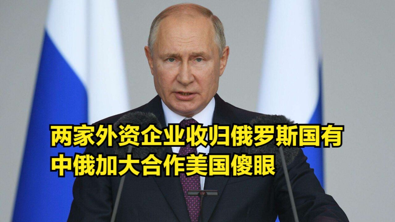 普京发威!两家外资企业收归俄罗斯国有,中俄加大合作美国傻眼