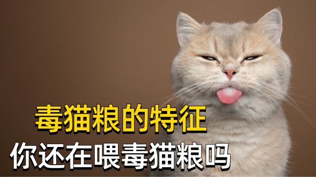 毒猫粮的特征,你还在喂毒猫粮吗?