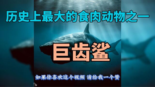 历史上最大的食肉动物之一—巨齿鲨!