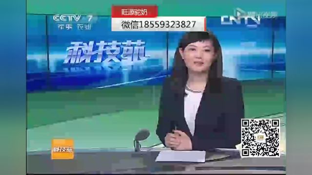 【央视CCTV揭秘】十大骆驼奶品牌排名,新疆最正宗的第一龙头骆驼奶品牌发布