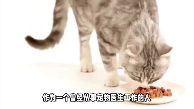 猫罐头推荐榜:让你轻松选到高品质罐头