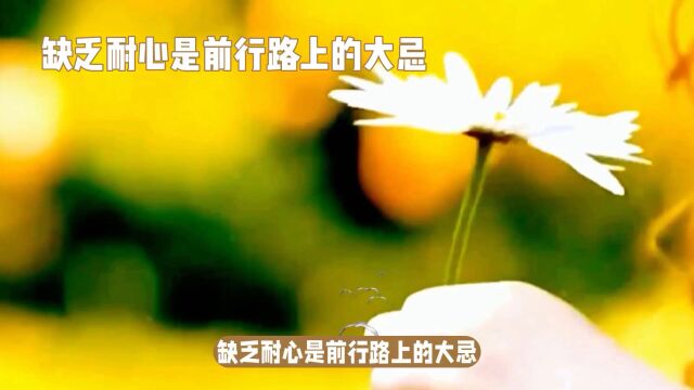 坦然接纳,培养耐心从心开始