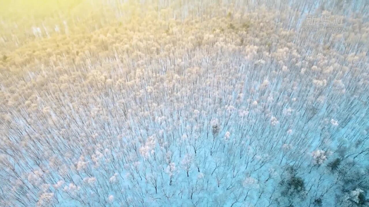 银装素裹 黑龙江冬日雪景氛围感拉满