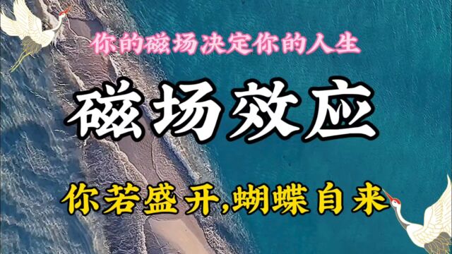 磁场效应~你的磁场决定了你遇见的人和事,你若盛开蝴蝶自来