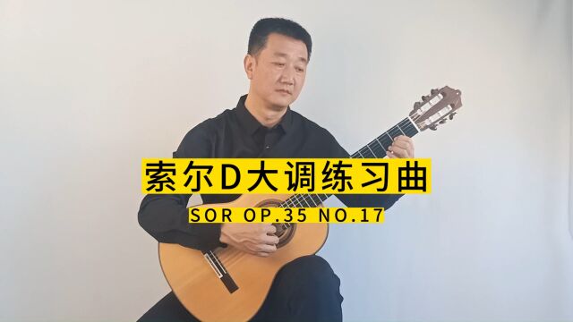 索尔D大调练习曲Op.35 No.17古典吉他独奏