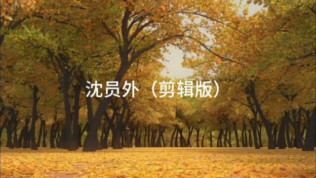 沈员外(剪辑版)