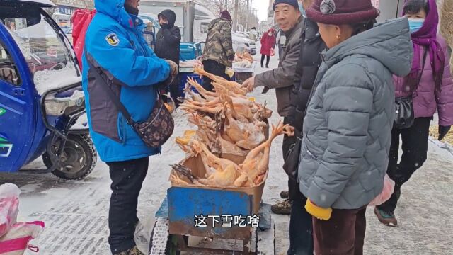 东北当地下大雪了,小鸡大鹅真好卖,一扎长的冷水柳根鱼,真新鲜