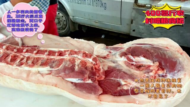 猪肉开始囤货,粮食猪抢得直冒烟,20斤后丘呲牙咧嘴就扛走,吓人