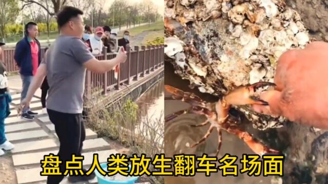 盘点人类放生翻车名场面,我就是想简单做个好事,怎么就这么难呢