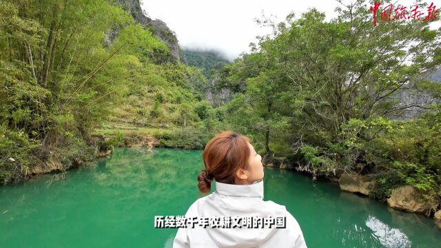 文旅助力乡村振兴丨探寻万物之源,了解巴马水文化