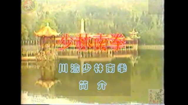 巴渝武术典藏(十六)川渝少林南拳简介,1985年四川省文体委、武术协会系统挖掘整理数据