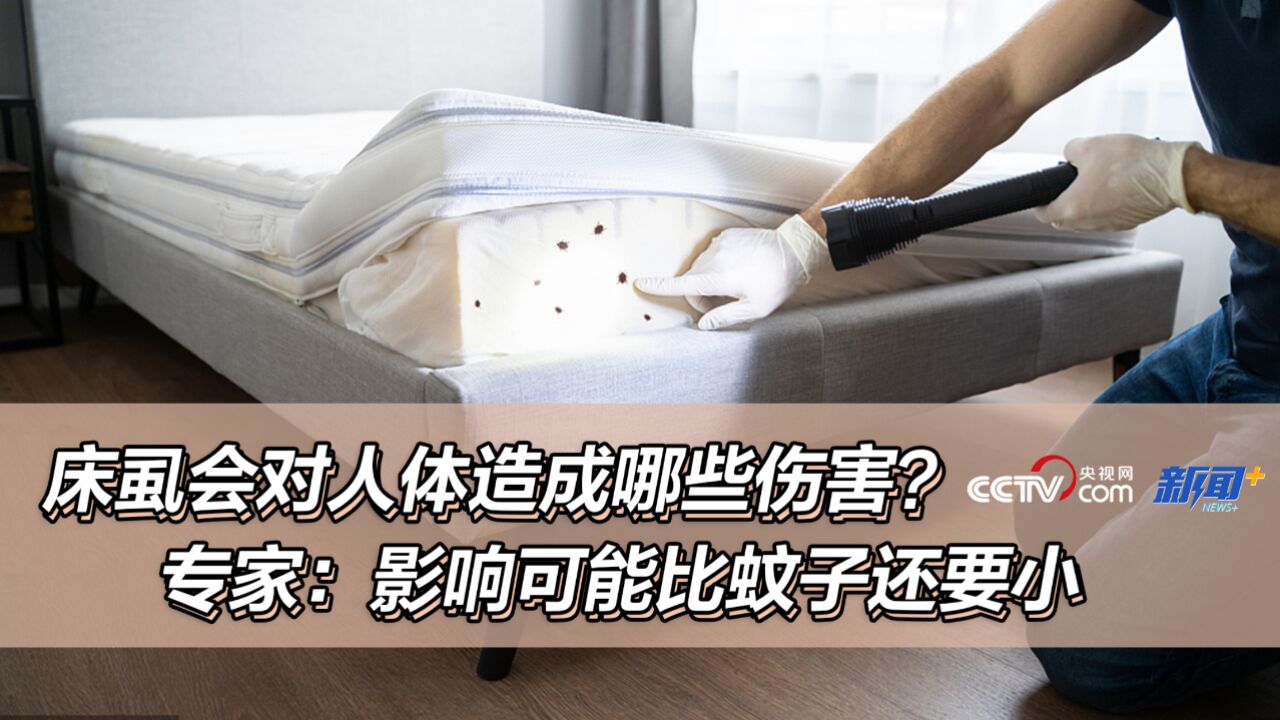 床虱会对人体造成哪些伤害?专家:影响可能比蚊子还要小