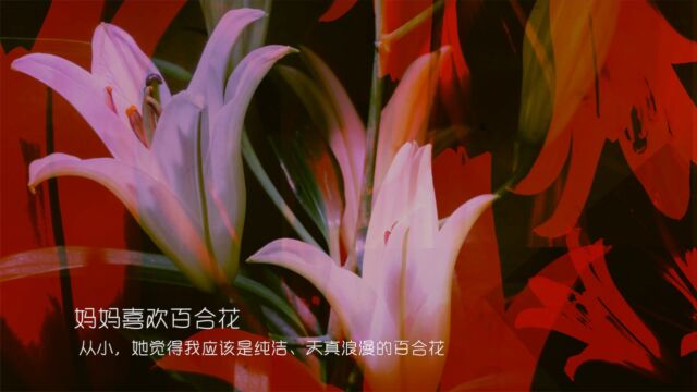 我是一朵什么样的花?