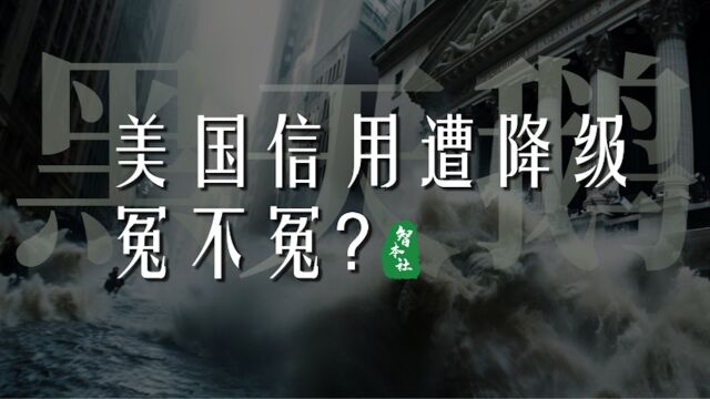 黑天鹅 美国信用遭降级,引发金融震荡!