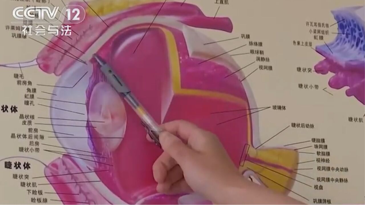 国家市场监督管理总局:针对一次性蒸汽眼罩组织风险监测