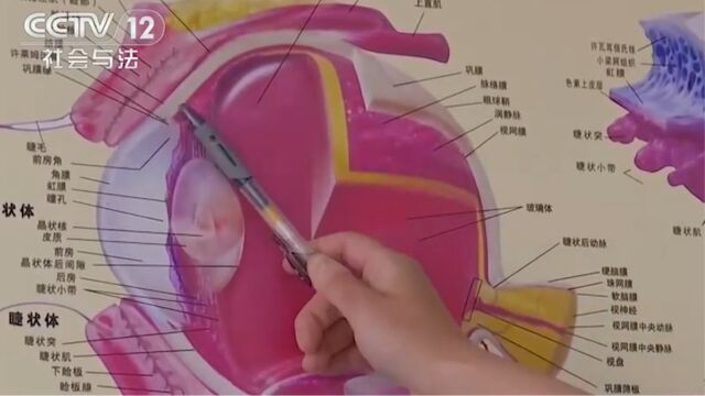 国家市场监督管理总局:针对一次性蒸汽眼罩组织风险监测