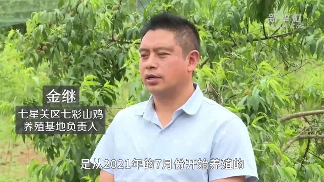 贵州毕节:守护绿水青山 发展绿色经济