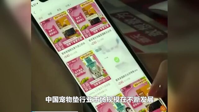 中国宠物垫行业市场现状及未来发展趋势