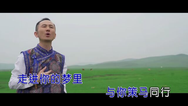 陈俊涛美丽的草原(原版)红日蓝月KTV推介