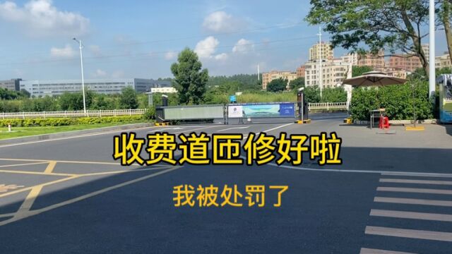 我被公司罚款了