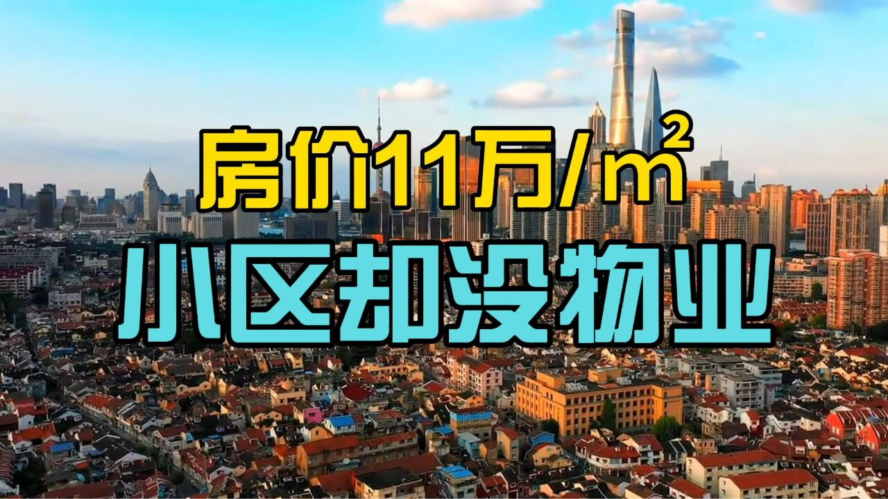 房价11万/㎡却像住烤箱? 上海这个小区因没有物业遇到难题了