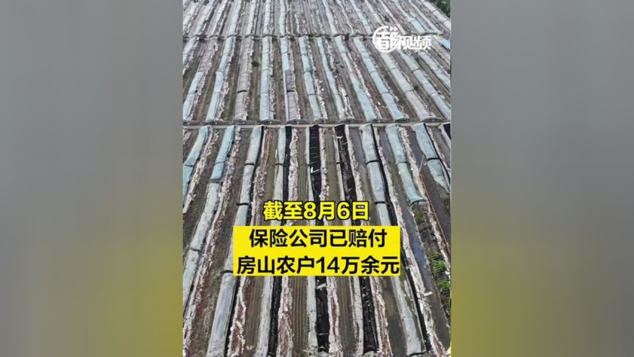 北京市,保险公司已赔付房山农户14万