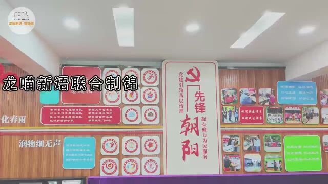 龙喵新语联合天桥区制锦市朝阳社区“假日学堂”济南二安主题古风文创微场景DIY活动圆满结束