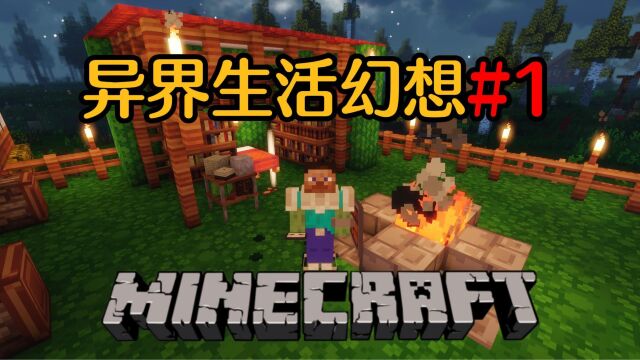 【MC】新手第一次玩整合包!异界生活冒险整合包!