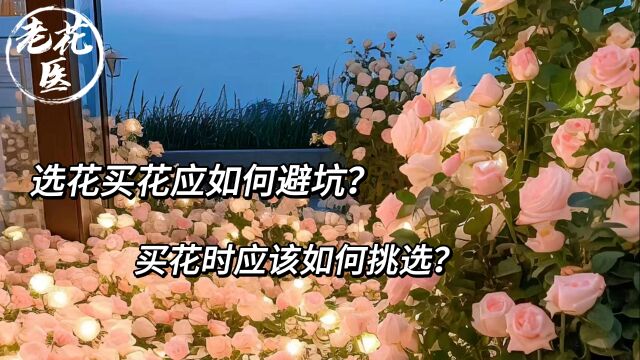 选花买花应如何避坑?买花时应该如何挑选?