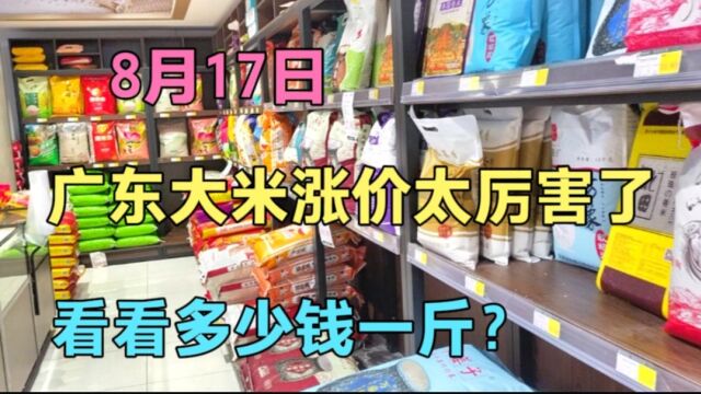 广东的大米价格大涨价,感觉要吃不起了,来看看多少钱一袋?