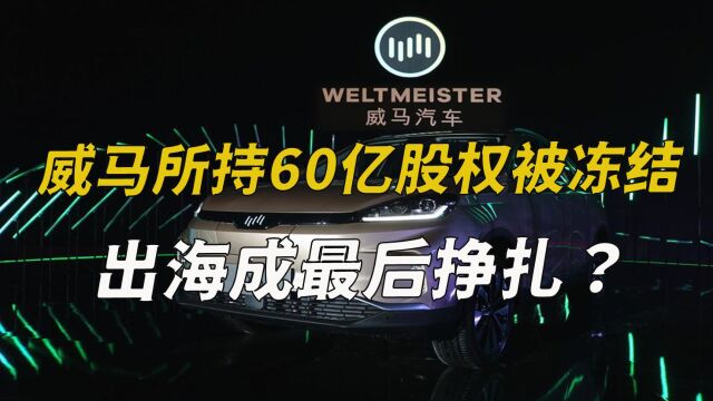 威马汽车所持60亿股权被冻结,出海成最后挣扎?