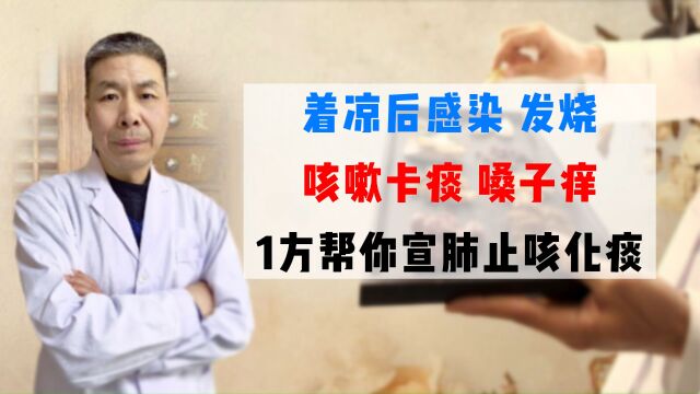 着凉后感染、发烧,咳嗽卡痰,嗓子痒,1方帮你宣肺止咳化痰!