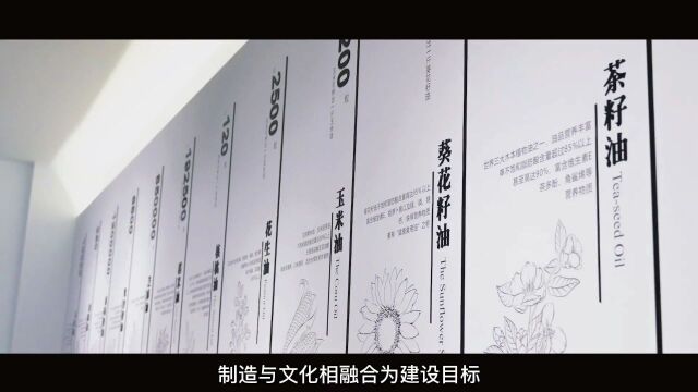 【在岳上市企业巡礼】上半年盈利预期增长544.42% ,“中国菜油第一股”道道全业绩亮眼!