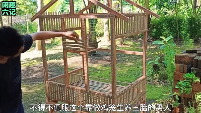 “鸡笼哥”教你做鸟笼看完你也轻松做 手工diy 鸟笼制作