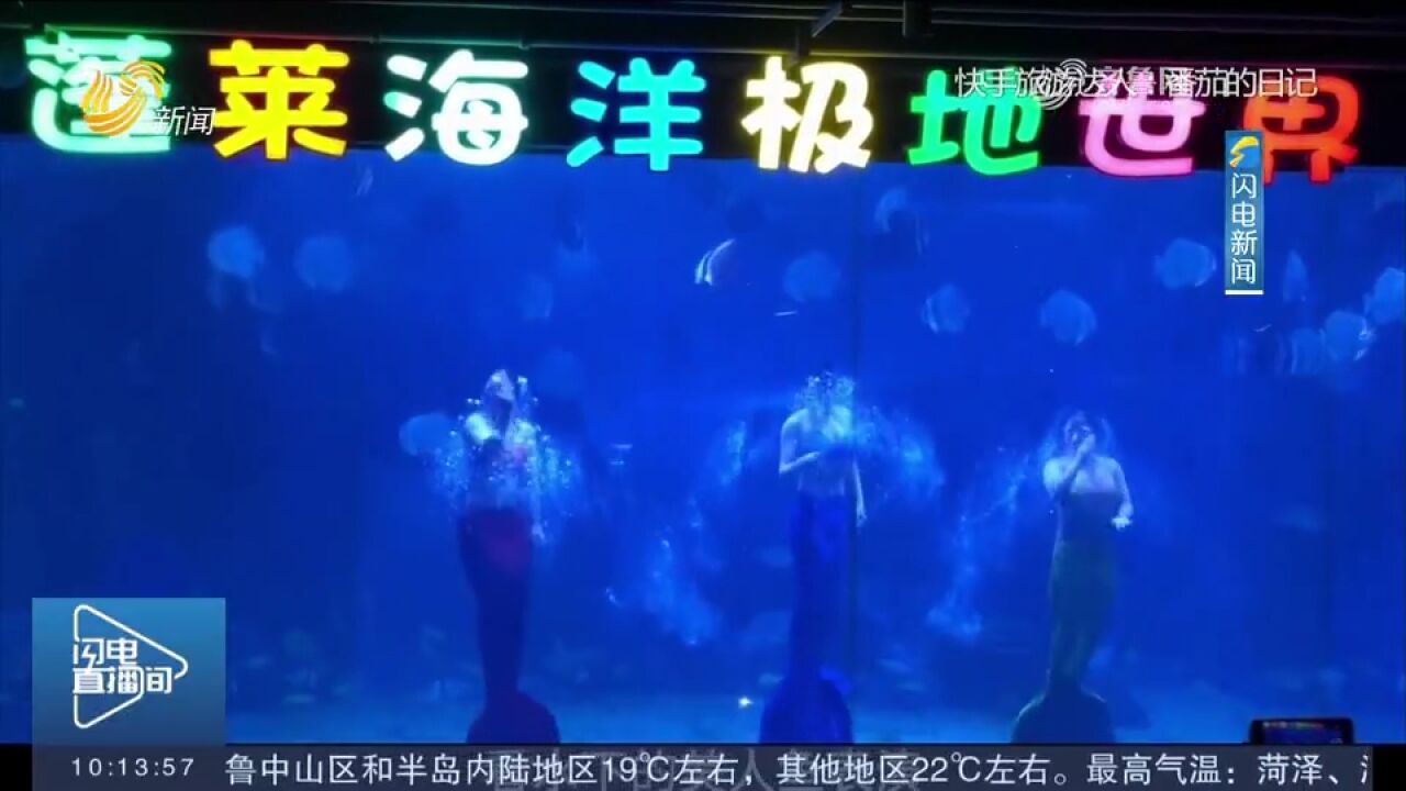 被海豚亲吻、和海狮贴贴!“网络大V”带你玩转蓬莱海洋极地世界